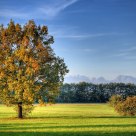 Autumn Is Coming